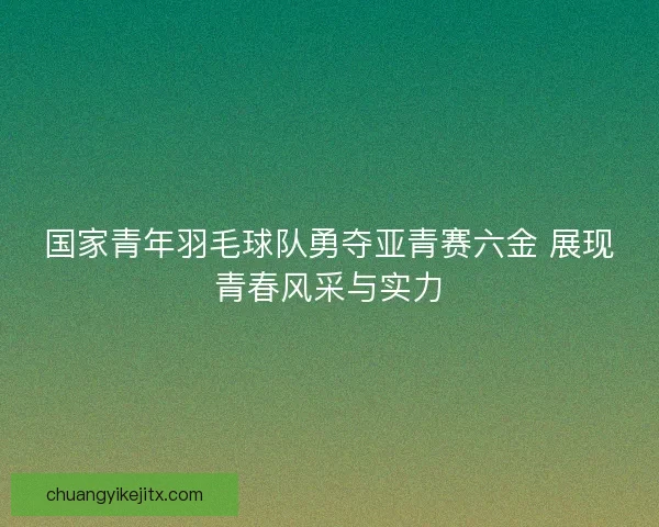 国家青年羽毛球队勇夺亚青赛六金 展现青春风采与实力