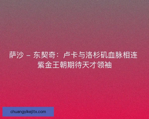 萨沙 - 东契奇：卢卡与洛杉矶血脉相连 紫金王朝期待天才领袖