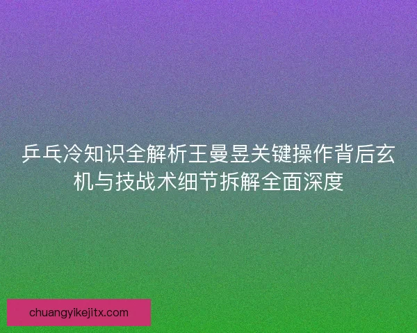 乒乓冷知识全解析王曼昱关键操作背后玄机与技战术细节拆解全面深度