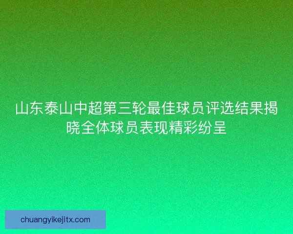 山东泰山中超第三轮最佳球员评选结果揭晓全体球员表现精彩纷呈